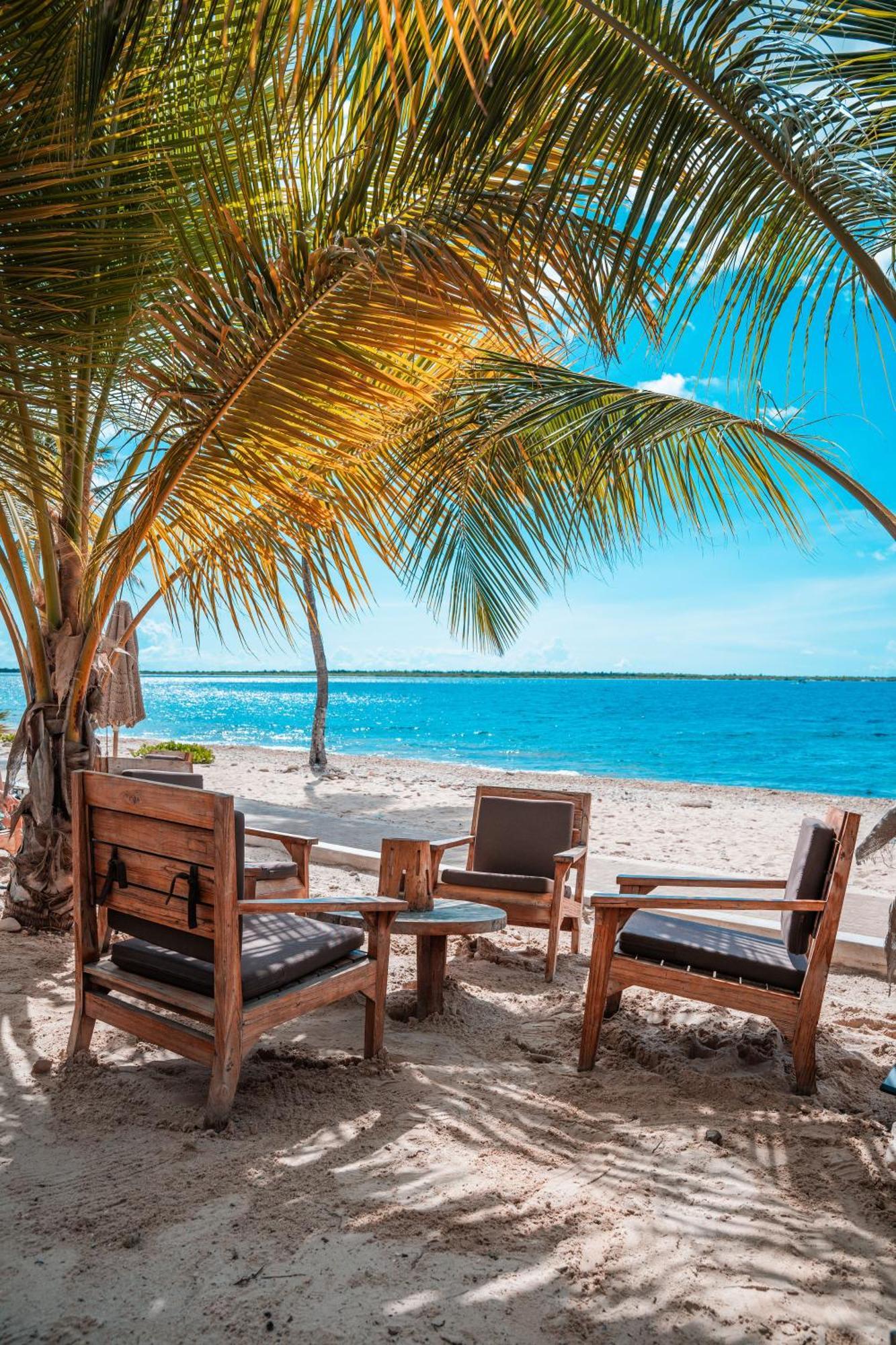 Chogogo Dive & Beach Resort Bonaire Playa Esterno foto